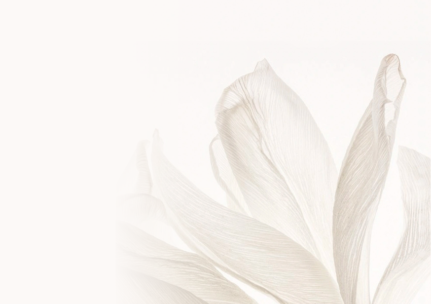 Sada lahviček na parfémy